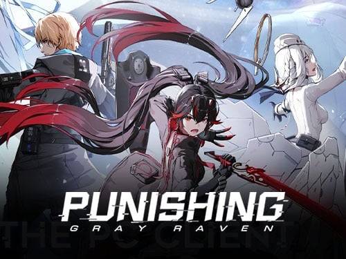 Punishing: Gray Raven